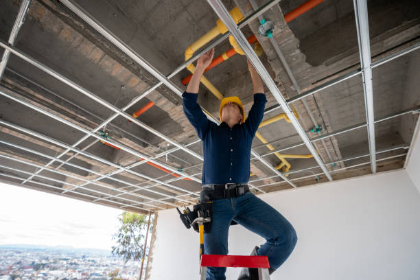 Best Sewer Line Repair  in Berthoud, CO